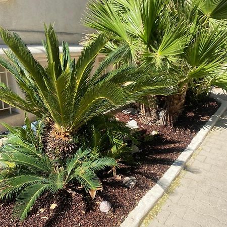 Casa Cacao Pres Plage Et Velodrome Марсилия Екстериор снимка
