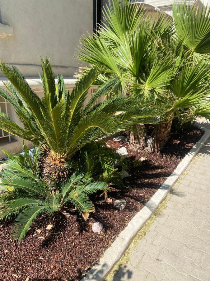 Casa Cacao Pres Plage Et Velodrome Марсилия Екстериор снимка